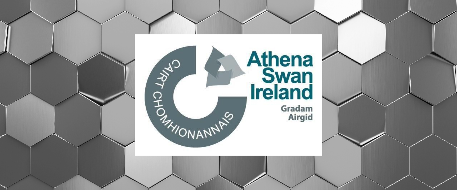 Silver Athena SWAN Award for UCD School of Veterinary Medicine